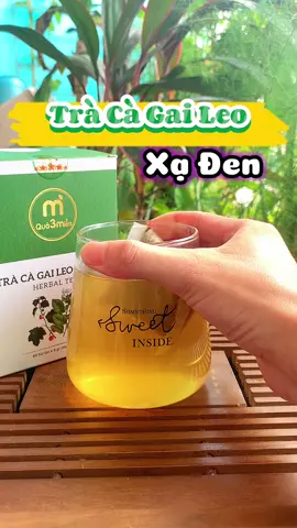 Trà Cà Gai Leo Xạ Đen Hỗ trợ cải thiện Gan. Hộp được tận 60 túi lọc tiện lợi khi sử dụng. #tracagaileo #cagaileo #tracagaileoxaden #xaden #trà #suckhoe #tràcàgaileo #muataitiktok 