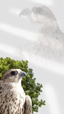 وين عبدالرحمن وينه#دعوات_اكترونية_هيام #عبدالرحمن #منشن #منشنوه #ادعموني #دعوات_اكترونية_هيام #محتوى_هادف #fyp #fypdonggggggggggggシ♡fyp😂 #ادعموني_متابعه_ولايك_الاكسبلور #شيلات #اصمم_بكل_حب_وشغف❤️❤️ #اصمم_بالغالي #fypシ #ادعمونا #لاياتك #ادعمون #ادعموني #ترند #خواطر 