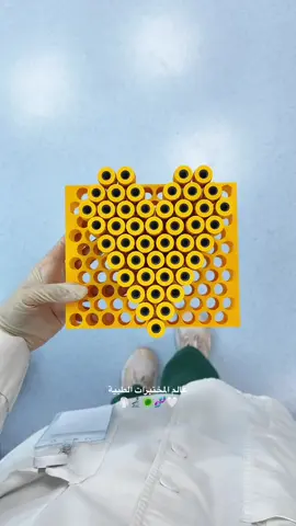 أحلى عالم 🤍🤍 #مختبرات #مختبرات_طبية👩🏻‍🔬💉 #تدريب #تدريب_تعاوني #الاحساء #اكسبلور #مالي_خلق_احط_هاشتاقات🧢 #مالي_خلق_احط_هاشتاقات #explore  #foryou #fyp #Laboratory #microbiology #hematology 