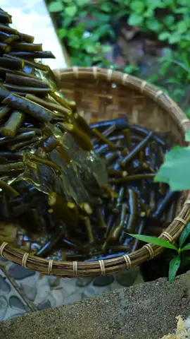 Thành tâm biết Ớn thiệt chớ ..🌱 #amthucphatgiao #thienvientruclamphuyen #thích_khải_tuấn #thichkhaituan #vulaci 