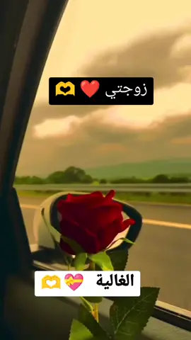 #مساء_الخير #احلى_متابعين #فرنسا🇨🇵_بلجيكا🇧🇪_المانيا🇩🇪_اسبانيا🇪🇸 