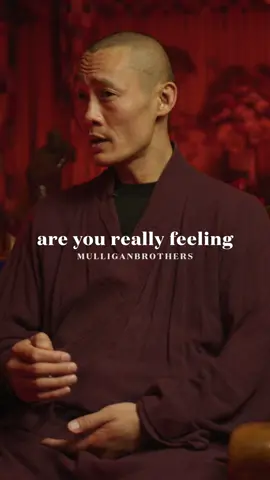 You NEED to be SERIOUS 🙏 #shihengyi #shaolin #buddhism #wisdom #awareness #mulliganbrothers #motivation