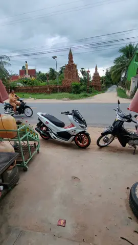 steav Indo🤣♥️#viral #fypシ #foryou #តាកែវផ្ទះខ្ញុំ #pcx150 #pcxindonesia🇲🇨 