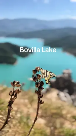 #albania #bovilla #bovillalake 