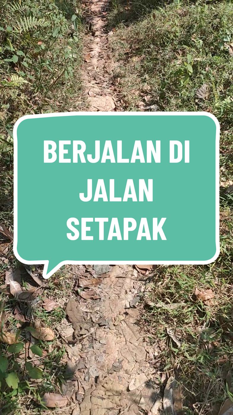 di jalan setapak dekat ladang #bahanswmu  #mentahanvideo  #polosanvideo  #hutan  #asmr 