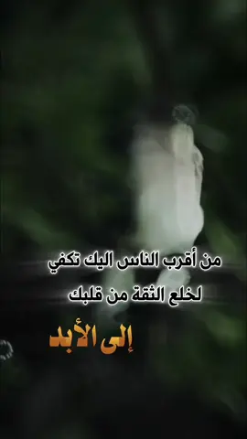 خيبة واحدة من اقرب الناس اليك تكفي لخلع الثقة من قلبك.. #CapCut #✨ 😌 ✨#اكسبلور  #تصميم_فيديوهات🎶🎤🎬 #fyp  #tiktok #fypシ #خواطر #عبارات 