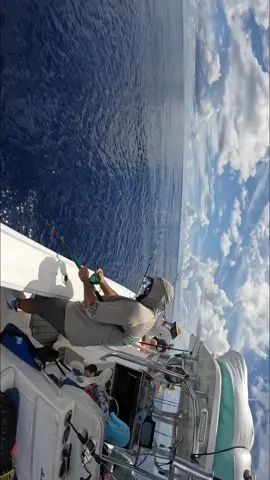 Santo's Scamp grouper fishing with Captain James Bois of the badhabitCharters #skywaymisfits #sharkvato #Svcustom #reelqualitysrq #fishlikemisfits #badhabitcharters #scampgrouper #fish #fishing #offshore #grouper #fishingaddict #fishingislife #fishingdaily #reels #offshore #seaguarfluorocarbon #catchmorefish #accuratereels #fishtok #fishingtiktoks #xycba #foryou #fypシ゚viral #fb 