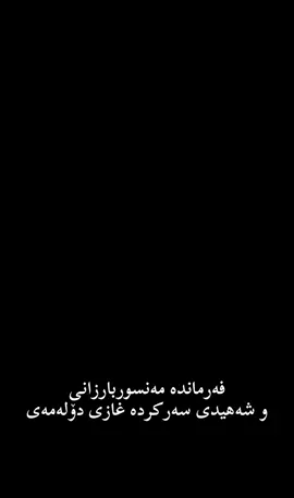 #barzani👑 #foryou #fyp #evryone #fypシ #foryoupage #viral 