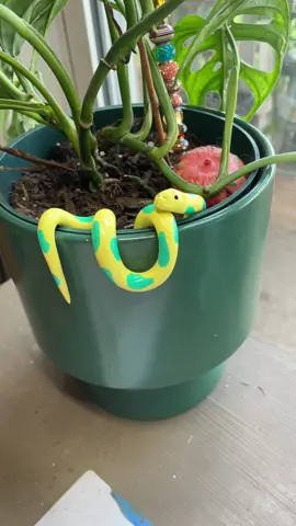 Yellow and turquoise clay snake  for your flower pot.  They are sealed for indoor/outdoor use.  #polymerclay  #summervibes  #snakes  #flowerpot  #yellow  #handcrafted #succulents  #swisscheeseplant  #pinkprincess #etsyshopowner #linkinbiotoshop #create 