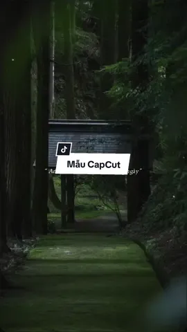 #CapCut Anh đếm bao nỗi cô đơn từng ngày.. #nhachaymoingay #qanhuocmauc #xuhuong @Update Mẫu Hot 🇻🇳 