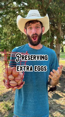 Here’s what you can do with all your extra farm fresh eggs 🐓🥚 Water glassing is super easy and an effective way to preserve your eggs for up to 18 months! All you need is 1 ounce of pickling lime for every quart of distilled or boiled water. Keep the eggs fully submerged in this solution and as long as they’re kept somewhere cool and dark, your eggs will be good as they day they got laid 🤗  #egg #eggs #farmfresh #pickling #lime #food #Foodie #chicken #chickens #layinghen #hens #preserving #preservingfood #fresh #tip #tips #hack #LifeHack #helpful #fact #facts #funfact #funfacts #farm #farming #poultry #poultryfarming #homestead #homesteading #shilohfarm #FoodTok #Foodie #foodtiktok #farmtok #chickentok 
