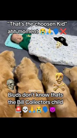 Bluds must pay them Bills now 💀🙏🚨😭🗣️ #laughing #funnytiktok #dogsoftiktok #cute #algoritmotiktok #fy #donpollo2982 #meme #funny #goofyahh #goofy #soundviral #bills #billcollectormeme #billcollector #memesdaily #doglover #fyp #memes #viraltiktok #blud #donpollo #fypage #fyy #chooseone 