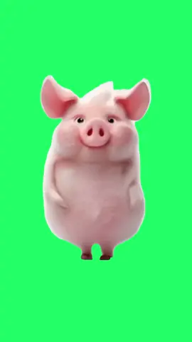 Dancing Pig Animated | Green Screen #greenscreen #greenscreenvideo #pig