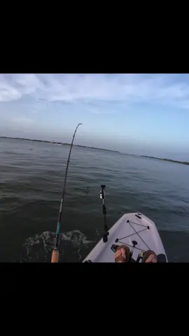 Monster Hammers My Jig! #fypシ゚viral #fishing #monster 