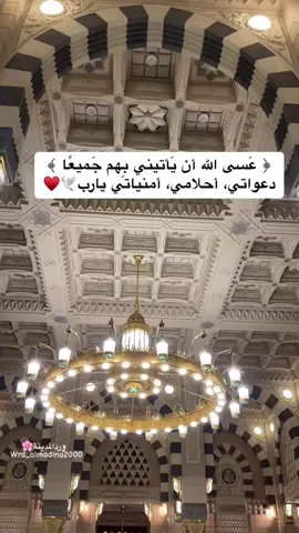 #المدينة_المنورة#الحرم_المدني#المدينة#المسجد_النبوي#المدينة_المنورة#المدينة_المنورة_الآن #اكسبلور#ورد