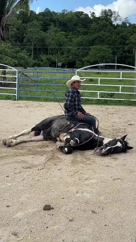 Don Carlos y Brownie en el picadero de Yeguada Erazo🥳👌@Erz Caballo @leshyan @Chepitoerazo502 @edgarcarranza3638 @Leslie Erazo @Alejandrita_8 