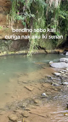 nganti kisut #mancing #mancingmania #tegekjoran #fyp #viraltiktok #wader #mancingikanbesar 