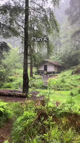 a simple life in a hidden woodland cabin 🌲 #cabin #forest #plana #moutains #nature #naturecore #fyp #wildcamping #Outdoors #trees #wilderness 