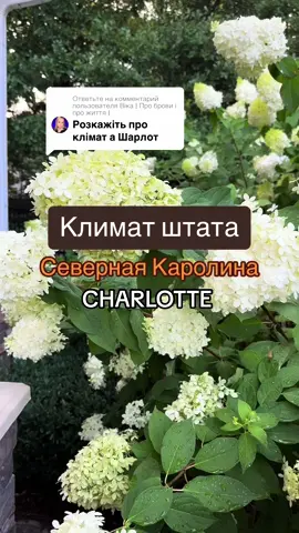 Ответ пользователю @Віка | Про брови і про життя |  Климат штата Северная Каролина. 📍Charlotte🇺🇸 #жизньвамерике #севернаякаролина #севернаякаролинашарлотт #переездвшарлотт #украинцывшарлотте #климатсевернойкаролины 