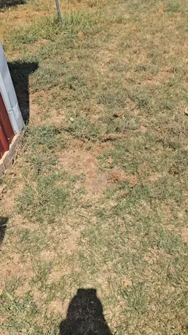 welp, system is kewling! #diyhvacguy #diyhvac #acrepair #shotscar_is_back #videoviews #kewlinguy #kewling #trending #shotscar #electrician #shotscar 