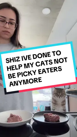 Another thing i do is i feed them right when i wake up in the morning and at night i play with them before their dinner. Having a routine helped so much too! #catfoodtips #feedmycatswithme #feedmycatwithme #rawcatfood @Viva Raw @nulopetfood @northwestnaturals @Instinct Pet Food 