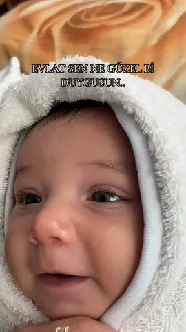 #keşfet 