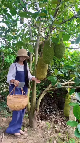 Follow For More Interesting Videos 😊🙂 #fruit #garden #fyp #foryou #viral #usa #usa🇺🇸 #usa_tiktok 