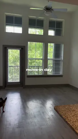 Moving into my first apartment 🫶🏾 empty apartment tour coming soon! Subscribe to my YouTube channel #fyp #moveinday #firstapartment #newapartment #movingvlog #letsmoveout #apartment #movingday 