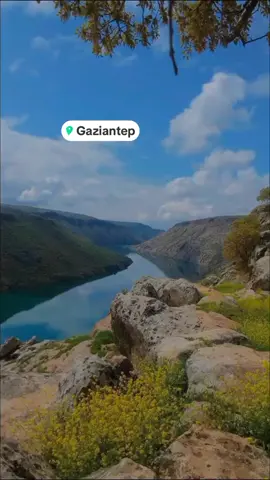 #fyp #fypppppppppppppppppppppp #jazz #tiktokbenikeşfetedüşür 