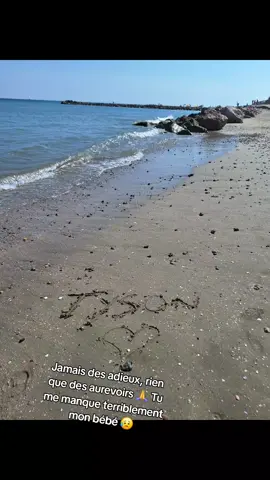 #staffy #hommage #douleur  J'aurai tant voulu pouvoir te faire découvrir la mer mon bébé tu me manque toujours autant et je n'arrive toujours pas accepter que tu n'ai plus la et que je ne te reverrai plus mais on ce retrouvera mon ange, la haut dans quelques temps 🙏 