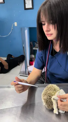 #humor #embarazo #fyp 