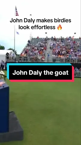 What a perfect golf swing #golf #perfectgolfswing #howtohitironsingolf #golftips #viral #fypシ゚viral #fyp #letsgogolfing #johndaly #birdie #trump #golftok #president #creatorsearchinsights 
