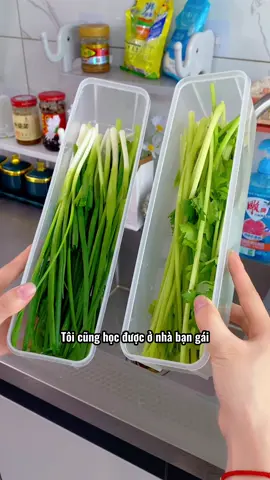 Hộp đựng mì vuông dài rất tốt để đựng hành, ngò, ngoài ra còn có thể dùng để đựng ngũ cốc!! #hopbaoquanhinhchunhat #tienich #giadungnhabep #thietthuc #jizonguyen 