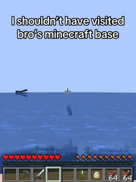 I shouldn’t have invited LionMaker to the server #beetleplex #Minecraft #memes #brainrot #perfectlycut #minecraftmemes #funnyvideos 