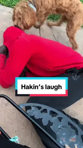 If you know @Hakin🃏 , you know his laugh is the best! #repost #whitepeople 