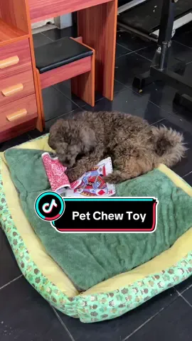 Replying to @Jaydee hindi talaga napupunit ✨ #chewtoy #chewtoyfordogs #newspapertoy #chewingtoy 