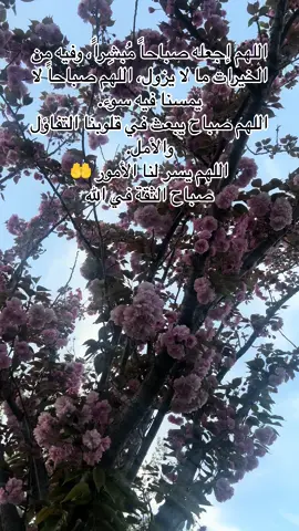 #صباح #صباح_الخير #دعاء #دعاء_يريح_القلوب #ابدا_صباحك_بذكر_الله👌🍀 #اذكروا_الله #صباحكم_أحلى_صباح #صباحكم_معطر_بذكر_الله #اللهم_صباحا_مبشرا_بكل_خير 