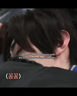 He’s so cute when he sleeps like that ☺️ #sunghoon #enhypen #fypage @enhypen 