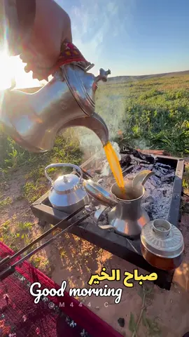 من اجمل الكشتات 😴✨ #ارشيف الجو هااادي وصوت العصافير وبردات ووش بعد 💔💔 الموقع #الصمان ✅ #ابو_مزنه #اكسبلور #fyp #video #explore 