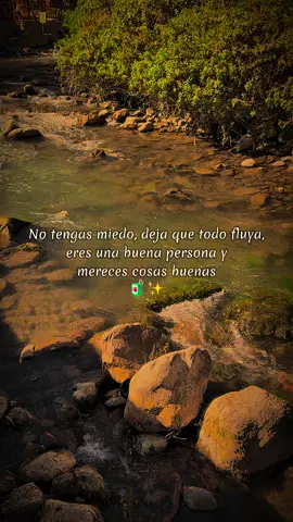 Que todo fluya y nada influya…🙌🏼✨❤️‍🩹 #CapCut #CapCutMotivacional #Motivacional #reflexaododia #parati #paratiiiiiiiiiiiiiiiiiiiiiiiiiiiiiii #viral #soyfeliz #peruana #latina #estadosparawhatsapp #lyricsvideo #standwithkashmir #recuerdos #contenido #live #tranquilidad #fypシ #fy #fypage #paratii #apoyo #sigueme #mujeres #mujerempoderada #ohana 