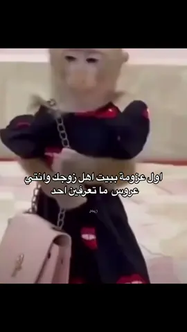#اكسبلورexplore #viral #fyp #مالي_خلق_احط_هاشتاقات #ضحك #الشعب_الصيني_ماله_حل😂😂 #صباح_الخير 