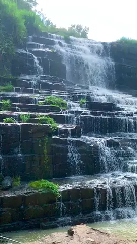 Thác Pongour - Nam thiên đệ nhất thác#langthangdalat🌲🌲🌲 #dulịchdalat 