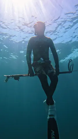 Pesca subacquea: che emozioni 🔱 #pescasub #pescainapnea #spearfishing_worldwide #spearfishing_international #spearfishing_reviews #spearo #pescasubmarina #pescador 