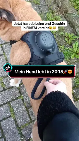 Mein Hund lebt in 2045 🥵🚀😍 ➡️ www.plazapaws.de 💪🏻💕 #hund #hunde #hundeliebe #hundegeschirr #hundeglück #hundeerziehung #hundemama #hundepapa #hundeprodukte #dog #dogs #doglove #dogmom #dogdad #tiktokmademebuyit #dogproductsyouneed #haustiere 