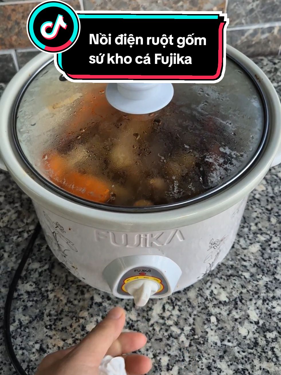 Nồi điện ruột gốm sứ Fujika kho cá kho thịt nấu cháo chậm #xuhuong #viral #trending #noikhoca 