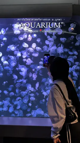 แวะไปหาต้าวน้องสัตว์ใต้ทะเล ดุ๊ยดุ่ยกันมากกก น่ารักฉุดๆๆ🥰 #TikTokกินเที่ยว #ที่เที่ยวชลบุรี #อควาเรียม #trending #tiktokพาเที่ยว #tiktoktravel 