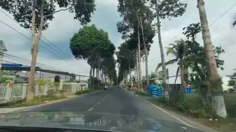 Sa Đéc/ Như có Bác Hồ trong ngày vui đại thắng. #basuri #kenongvang🎺🐝 