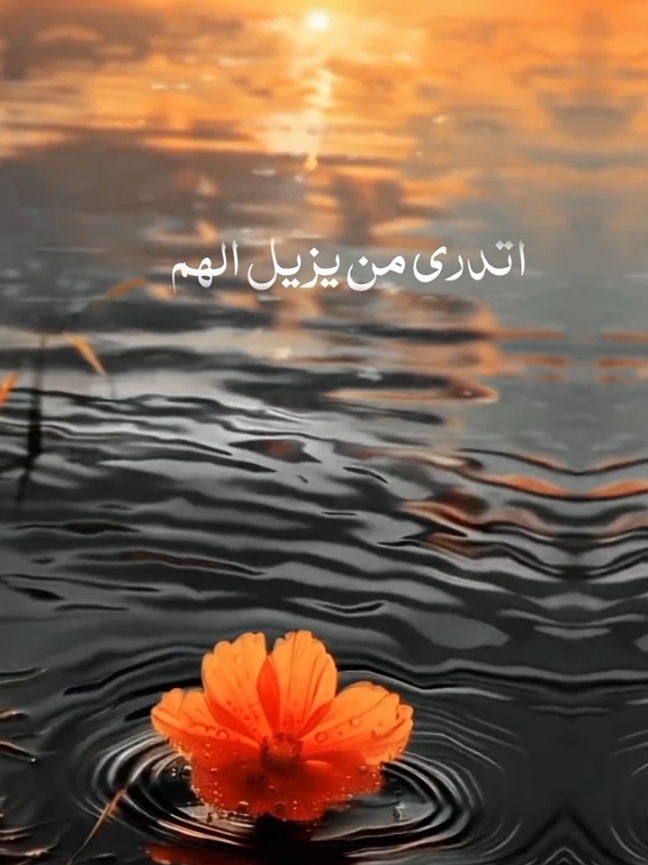 أتدري من يزيل الهم ان ضاقت بك الدنيا #لا_اله_الا_الله #محمد_رسول_الله #صلى_الله_عليه_وسلم #اناشيد_بدون_موسيقى #اناشيد_متنوعة #CapCut 