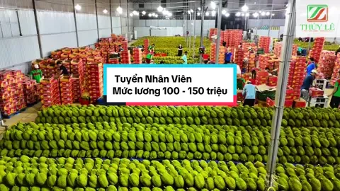 Công ty em vẫn tiếp tục tuyển dụng các bộ phận :  - kỹ thuật gõ Sầu Riêng - Quản Lý Kho - Thư ký  ❇️Yêu cầu: có kinh nghiệm và trách nhiệm trong công việc.  💵Mức lương 20-150 triệu/tháng ☎️ 098.9925.278 - 090.9389.919