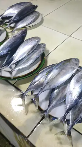 Suka Ikan Cakalang atau Tuna yaa ☺️